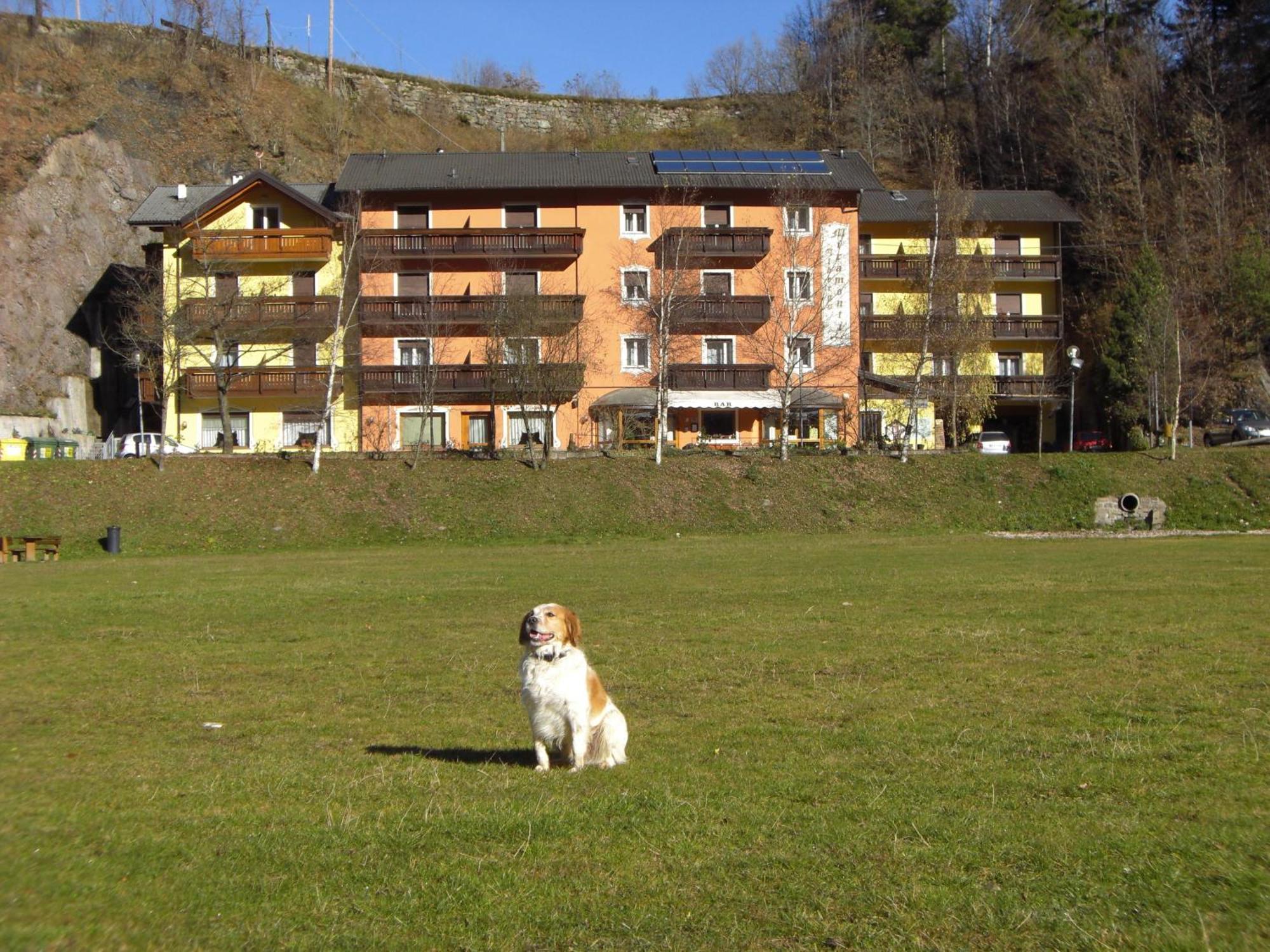 Hotel Miramonti Bedollo Exterior photo